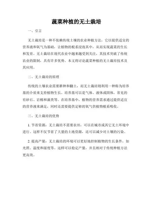 蔬菜种植的无土栽培