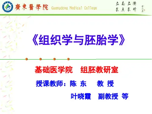 组织学与胚胎学(完整课件)