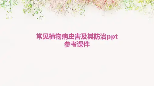 常见植物病虫害及其防治ppt参考课件