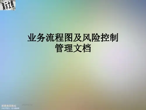 业务流程图及风险控制管理文档