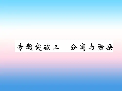 (百色专版)2022届中考化学复习 第2编 重点专题突破篇 专题突破3 分离与除杂(精讲)课件
