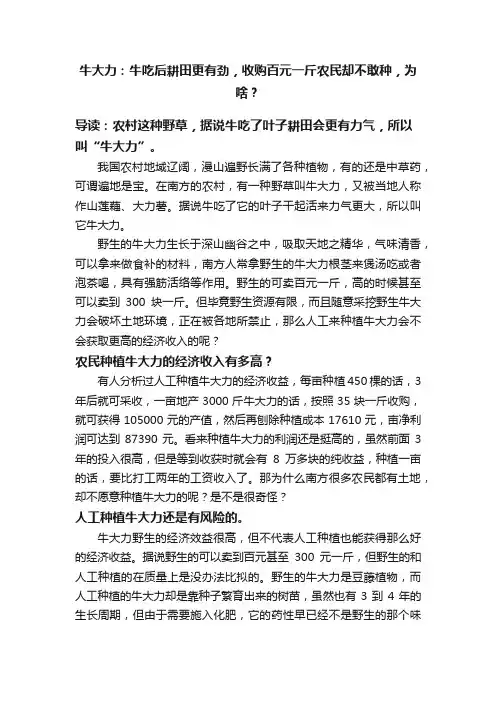 牛大力：牛吃后耕田更有劲，收购百元一斤农民却不敢种，为啥？