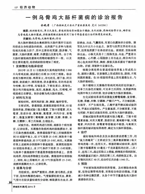 一例乌骨鸡大肠杆菌病的诊治报告