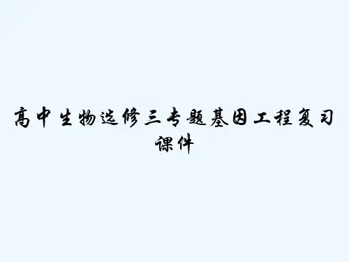 高中生物选修三专题基因工程复习课件-PPT