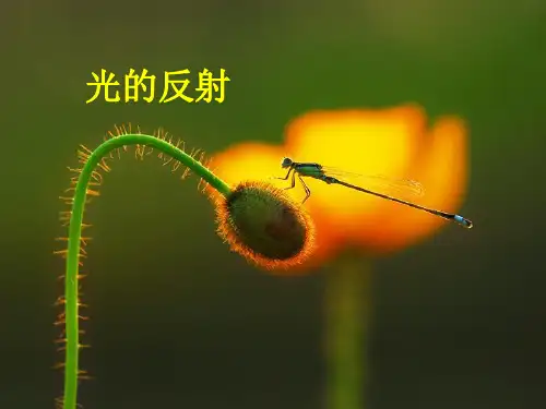 人教版八年级上册物理课件：4.2光的反射优秀课件资料