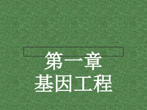 高中生物 1.1 基因工程概述课件 苏教版选修3