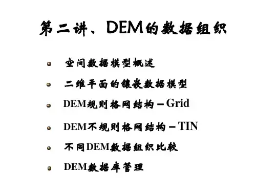 中国地质大学数字地面模型第2章数据组织模型