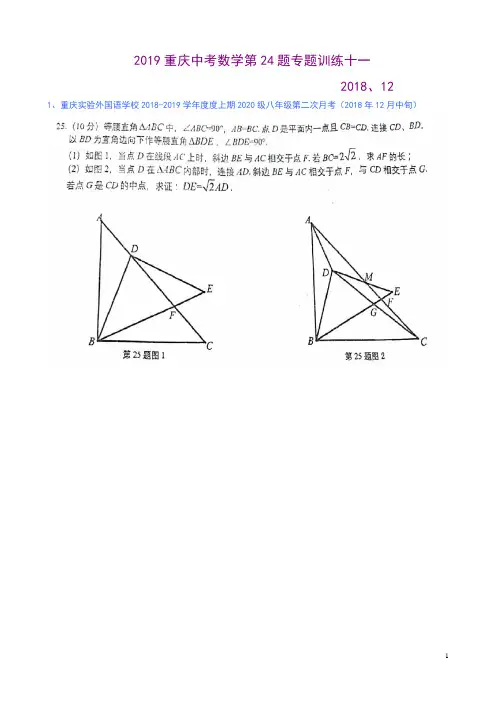 2019重庆中考数学第24题专题训练十一