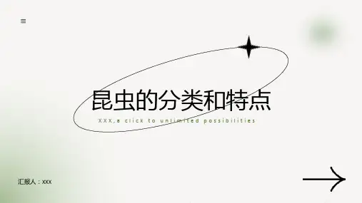 昆虫的分类和特点