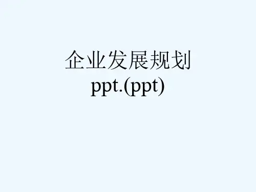 企业发展规划ppt.(ppt)