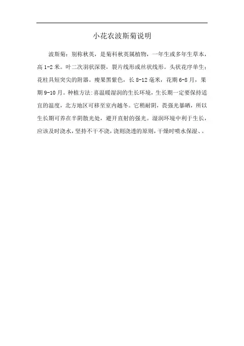 小花农波斯菊说明