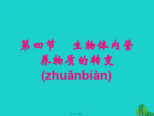 高中生物第一册第4章生命的物质变化和能量转换4.4生物体内营养物质的转换课件(2)沪科版