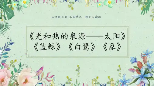 五年级上册语第五单元组文阅读课《蓝鲸》等  (共16张PPT)【完美版课件】