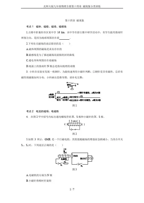 北师大版九年级物理全册第十四章 磁现象分类训练