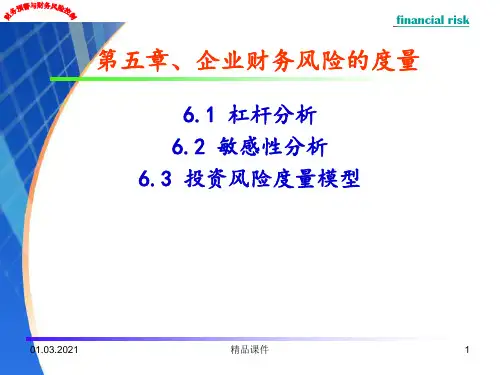 第五章企业财务风险的度量ppt课件