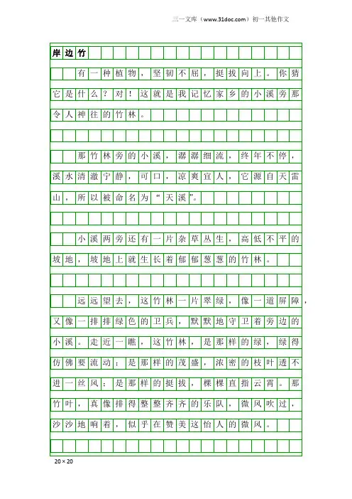 初一其他作文：岸边竹