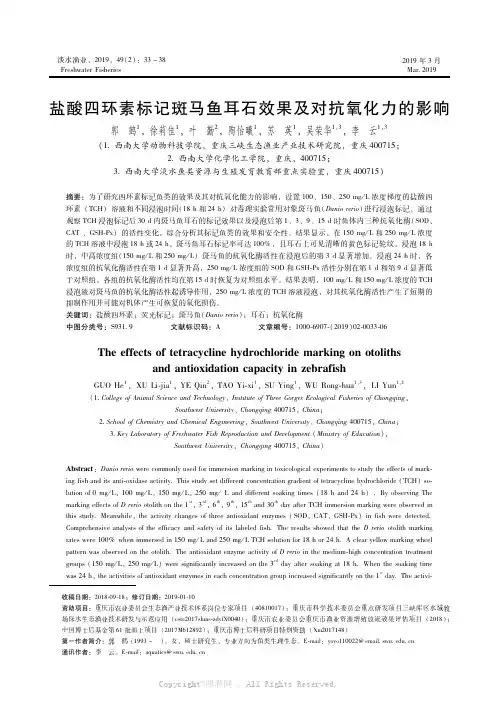 盐酸四环素标记斑马鱼耳石效果及对抗氧化力的影响