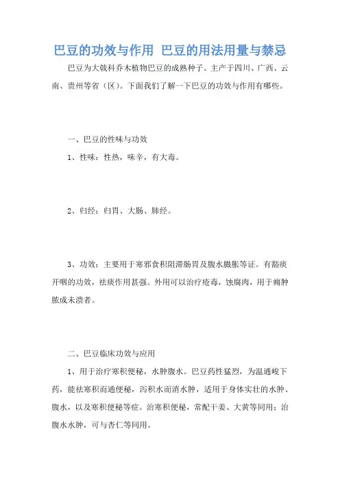 巴豆的功效与作用 巴豆的用法用量与禁忌