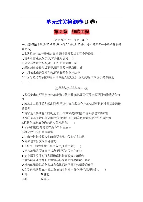 第2章 细胞工程 过关检测(B卷)(学生版含答案详解)