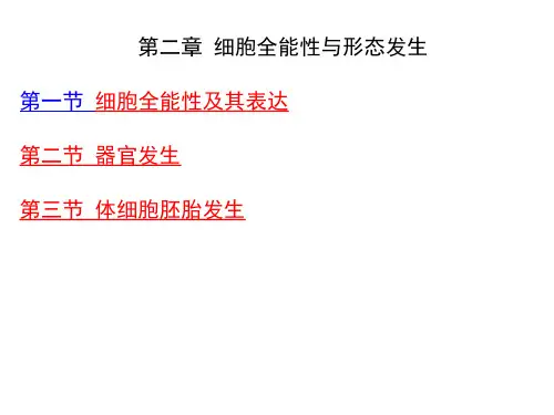 细胞全能性