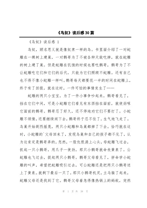 《鸟奴》读后感30篇