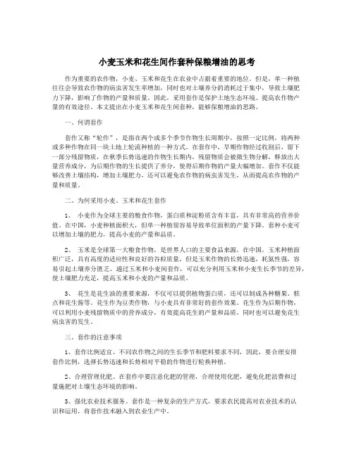 小麦玉米和花生间作套种保粮增油的思考