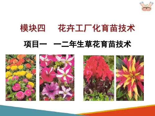 花卉工厂化育苗技术 一二年生草花育苗技术