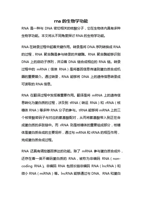 rna的生物学功能
