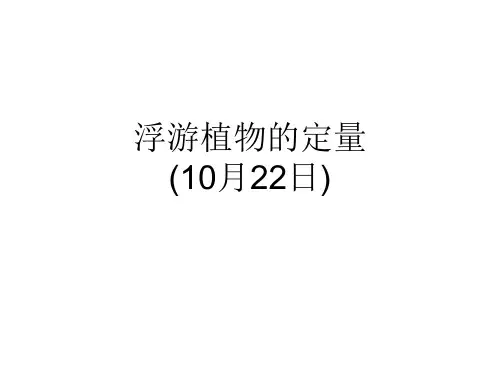 浮游植物定量