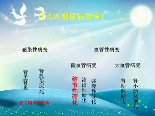 糖尿病肾病小讲课课件