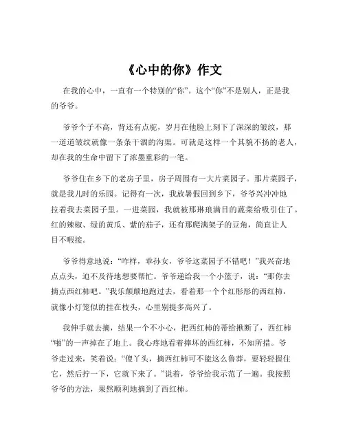《心中的你》作文