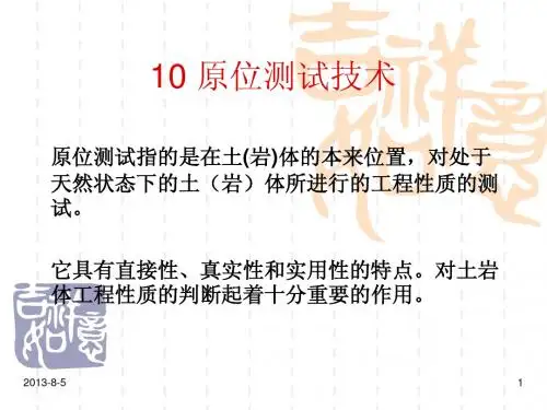 10 原位测试技术