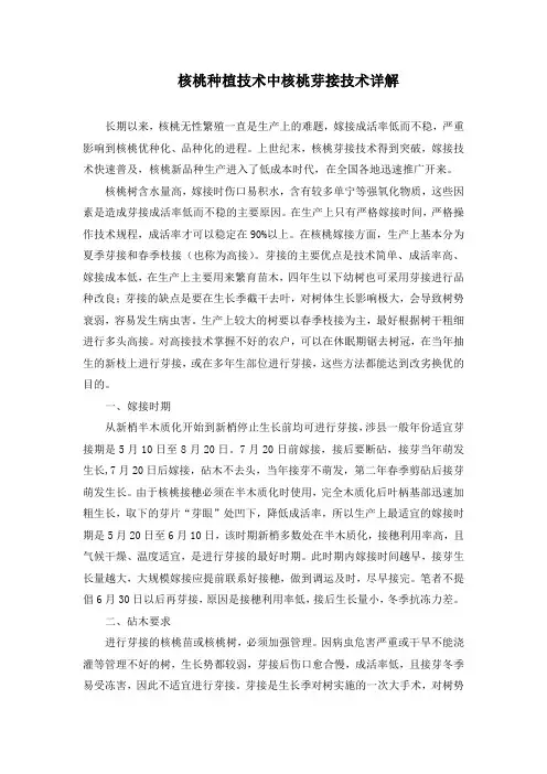 核桃种植技术(核桃芽接技术详解)