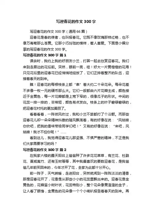 写迎春花的作文300字（通用66篇）