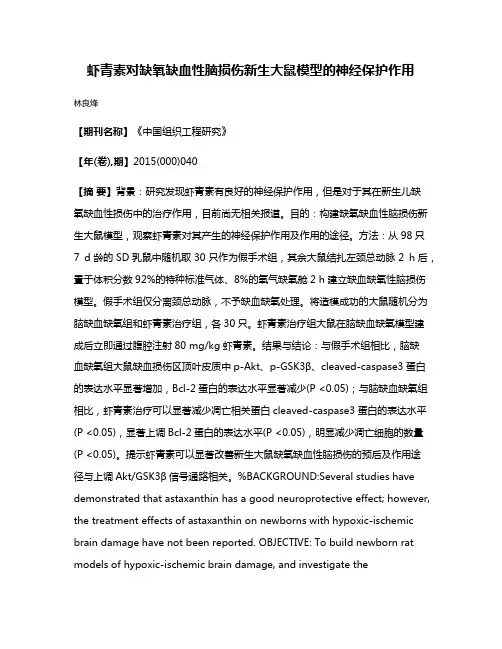 虾青素对缺氧缺血性脑损伤新生大鼠模型的神经保护作用