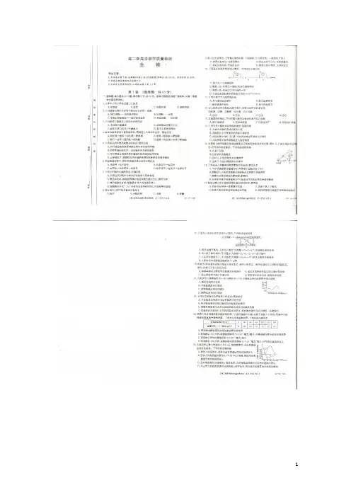 山东省济宁市实验中学2019_2020学年高二生物教学质量检测试题