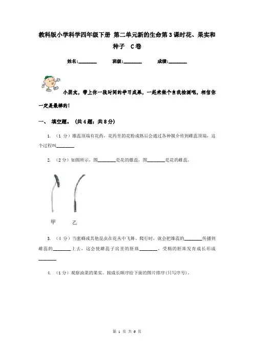 教科版小学科学四年级下册 第二单元新的生命第3课时花、果实和种子  C卷