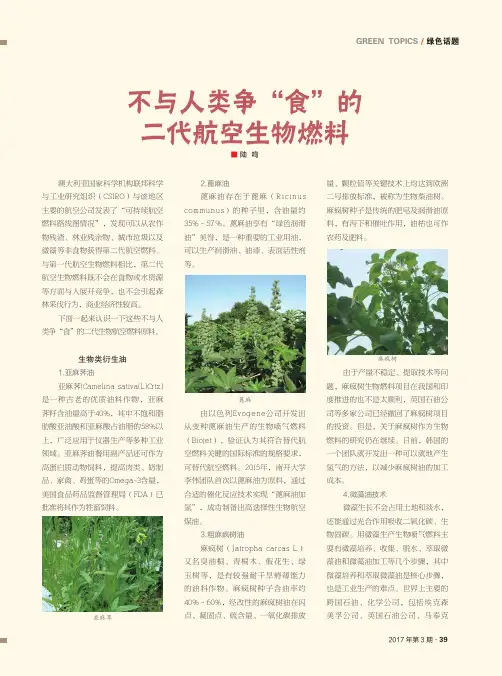 不与人类争“食”的二代航空生物燃料