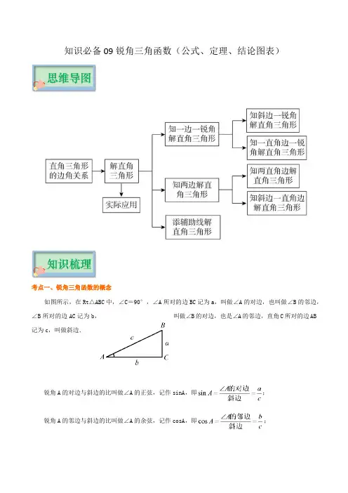 知识必备09 锐角三角函数(公式、定理、结论图表)-2023年中考数学知识梳理+思维导图
