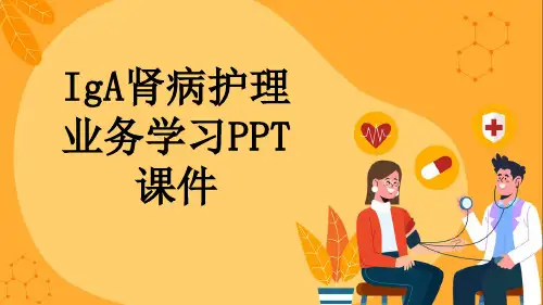 IgA肾病护理业务学习PPT课件