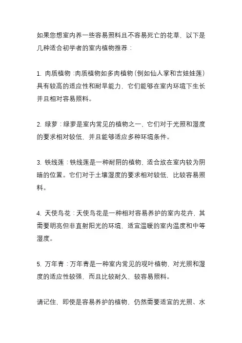 室内养什么花最好养不会死？