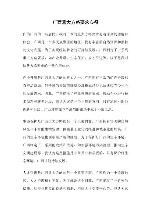 广西重大方略要求心得
