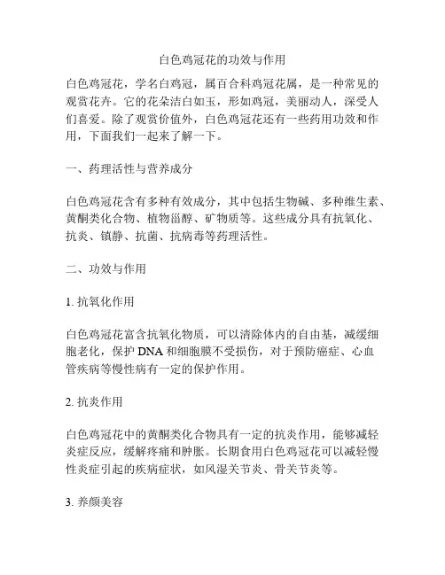 白色鸡冠花的功效与作用