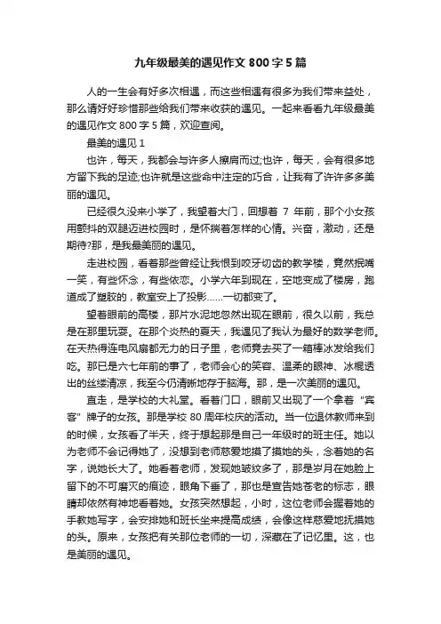 九年级最美的遇见作文800字5篇