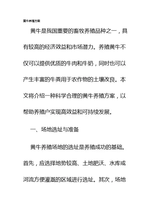 黄牛养殖方案