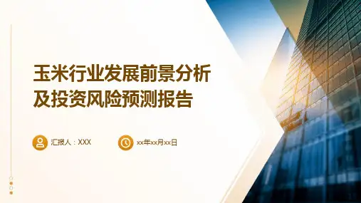 玉米行业发展前景分析及投资风险预测报告