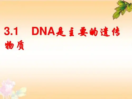 新课标人教版高中生物必修二第三章第一节《DNA是主要的遗传物质》精品课件