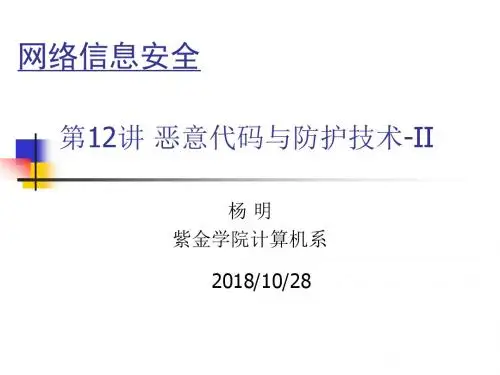12-恶意代码及防护技术(II)资料