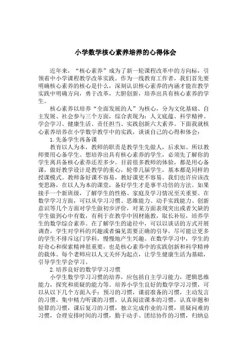 小学数学核心素养培养的心得体会 3