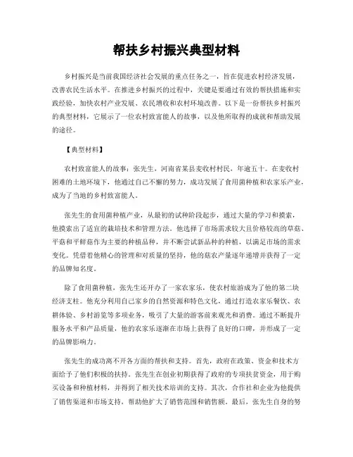 帮扶乡村振兴典型材料
